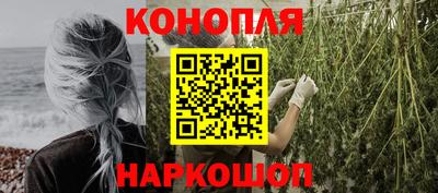 гашик Кулебаки