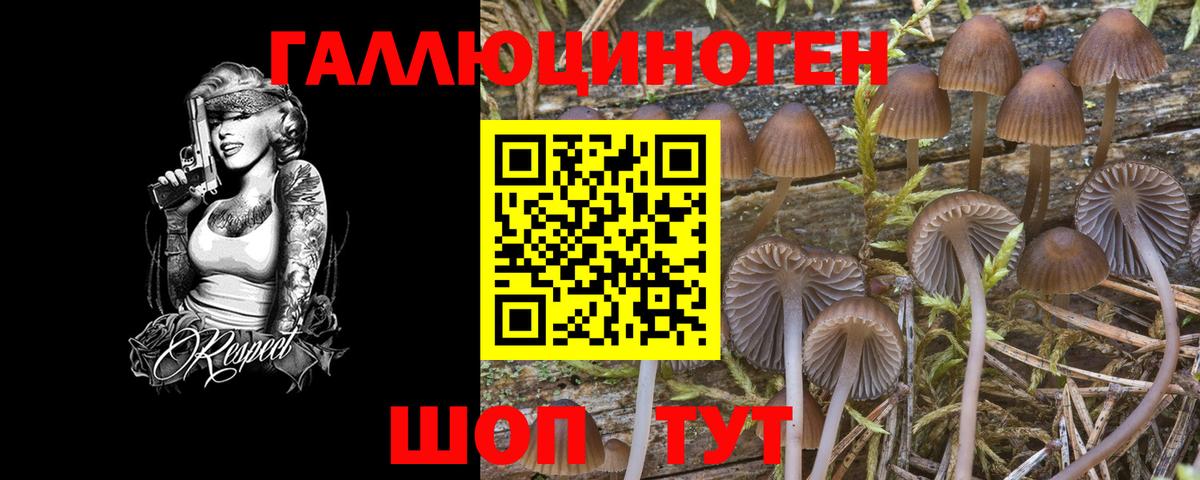 где купить наркоту  Галлюциногенные грибы Psilocybe  Вход с VPN  Карталы 